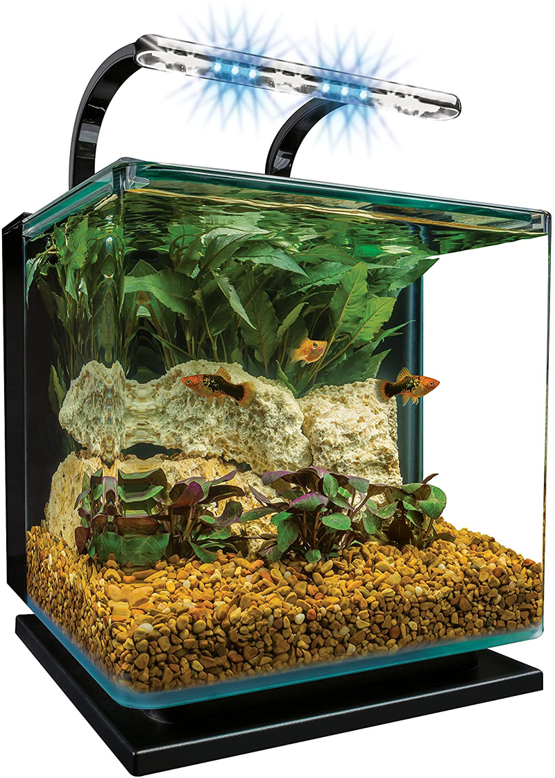 MarineLand Contour Glass Aquarium Kit with Rail Light Animals & Pet Supplies > Pet Supplies > Fish Supplies > Aquariums MarineLand 3-gallon  