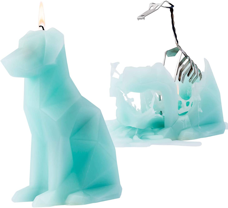 PyroPet Candles Hoppa Candle, White Home & Garden > Decor > Home Fragrance Accessories > Candle Holders PyroPet Mint Green standard size 