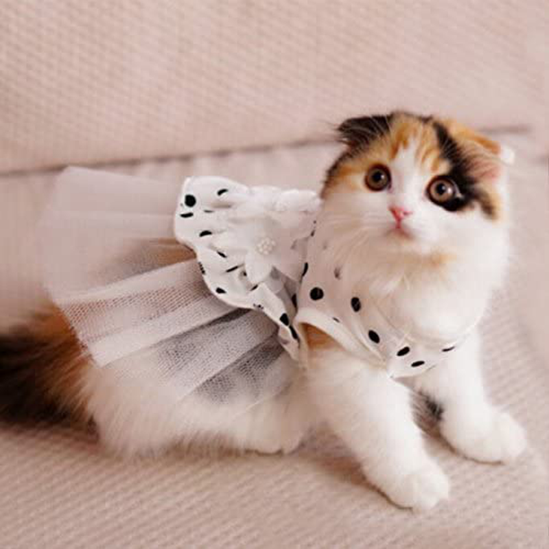 I'Pet Princess Floral Cat Party Bridal Wedding Dress Small Dog Flower Tutu Ball Gown Puppy Dot Skirt Doggy Photo Apparel Stretchy Clothes Mesh Costume for Spring Summer Wear