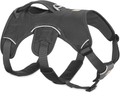 RUFFWEAR, Web Master, Multi-Use Support Dog Harness, Hiking and Trail Running, Service and Working, Everyday Wear Animals & Pet Supplies > Pet Supplies > Dog Supplies RUFFWEAR Twilight Gray XX-Small 
