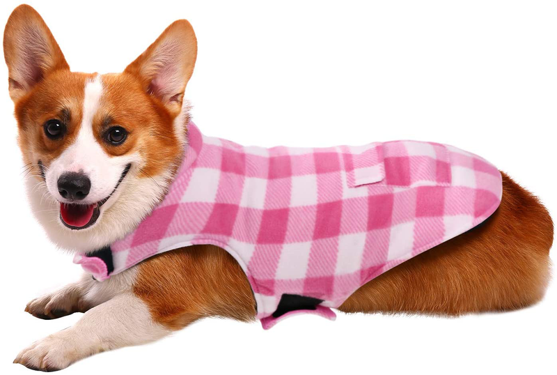 Dog Winter Coat, ASENKU Dog Jacket Plaid Reversible Dog Vest Waterproof Cold Weather Dog Clothes Pet Apparel for Small Medium Large Dogs Animals & Pet Supplies > Pet Supplies > Dog Supplies > Dog Apparel ASENKU   