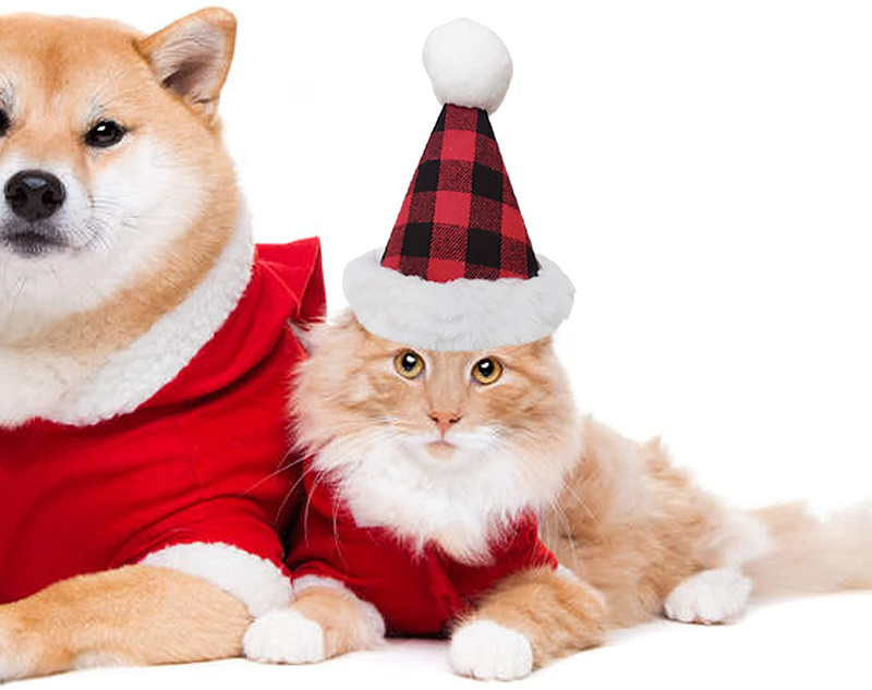 Pet Birthday Scarf-Holiday Pet Scarf-Holiday Dog Scarf-Birthday Costume-Birthday Pet Hat-Small and Medium Dogs-Cats-Pets Animals & Pet Supplies > Pet Supplies > Dog Supplies > Dog Apparel zhou xi   