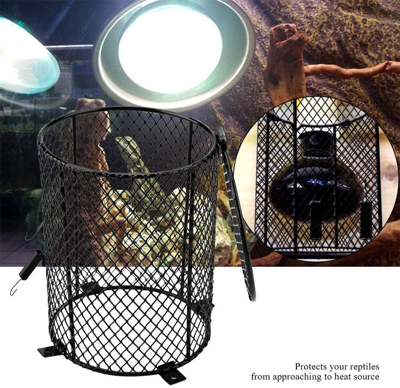 Heater Guard, Reptile Heating Lamp Lampshade Anti-Scald Lamp Mesh Cover Day Night Ceramic Light Bulb Enclosure Cage Protector for Feeding Box in Case Scald (Cylinder) Animals & Pet Supplies > Pet Supplies > Reptile & Amphibian Supplies > Reptile & Amphibian Habitat Accessories HEEPDD   