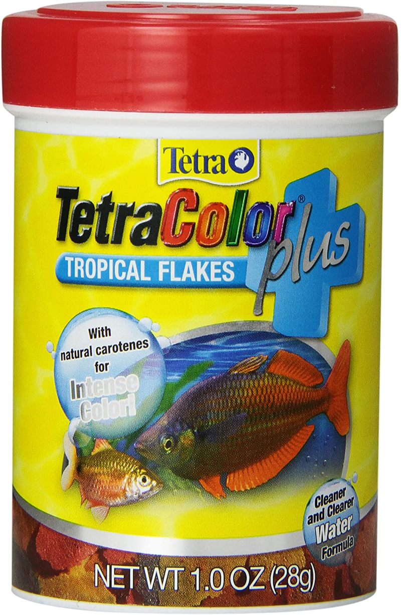TetraColor Plus Tropical Flakes with Color Enhancing Animals & Pet Supplies > Pet Supplies > Fish Supplies > Fish Food Tetra 1-ounce  