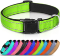 Joytale Reflective Dog Collar,12 Colors,Soft Neoprene Padded Breathable Nylon Pet Collar Adjustable for Small Medium Large Extra Large Dogs,5 Sizes Animals & Pet Supplies > Pet Supplies > Dog Supplies Joytale Green XS- 5/8"x(8-12") 