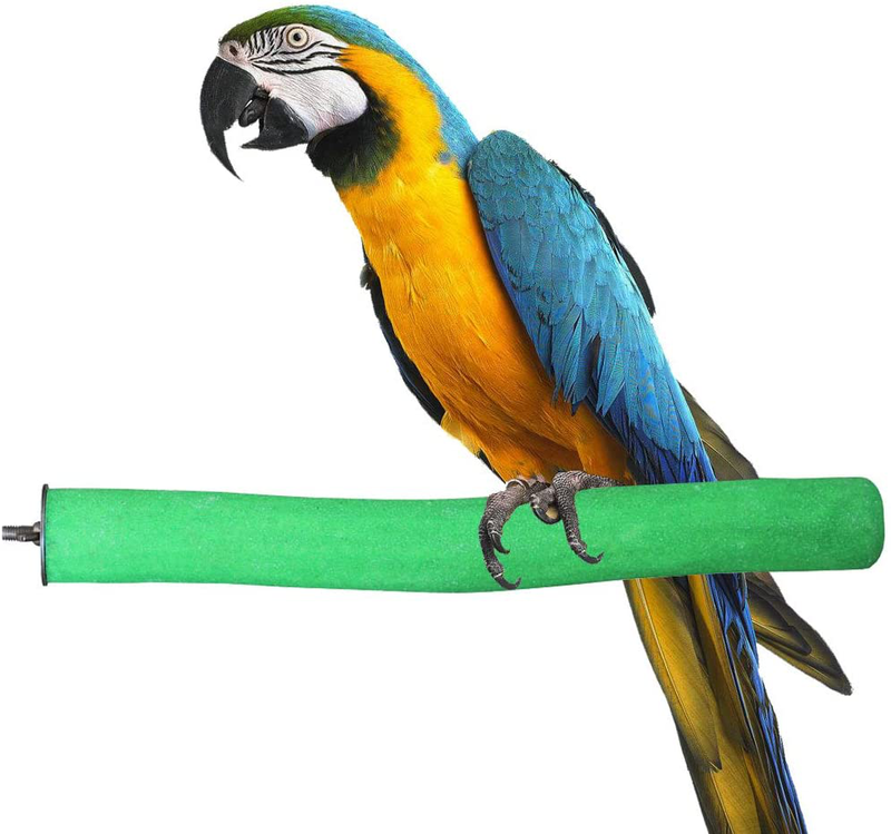 KINTOR Bird Perch Rough-surfaced Nature Wood Stand Toy Branch for Parrots Colors Vary Animals & Pet Supplies > Pet Supplies > Bird Supplies KINTOR 15.8 inch (Pack of 1)  