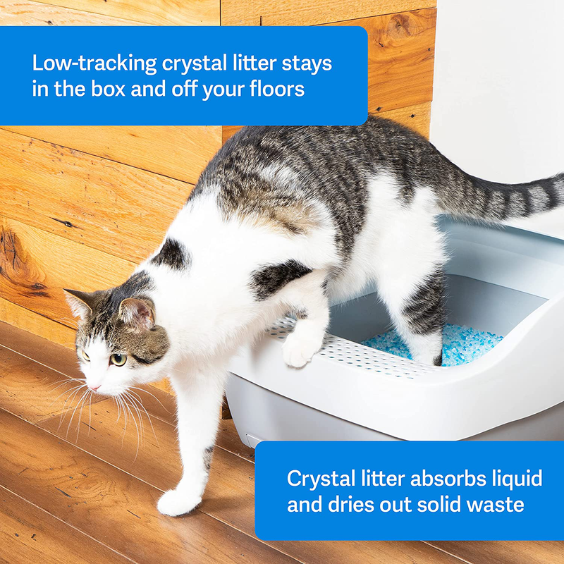 PetSafe ScoopFree Premium Crystal Non-Clumping Cat Litter - Fresh, Low-Tracking Odor Control - 2-Pack Refills, 4.5 lb per Pack (9 lb Total) - Original Blue, Lavender or Non-Scented Animals & Pet Supplies > Pet Supplies > Cat Supplies > Cat Litter PetSafe   