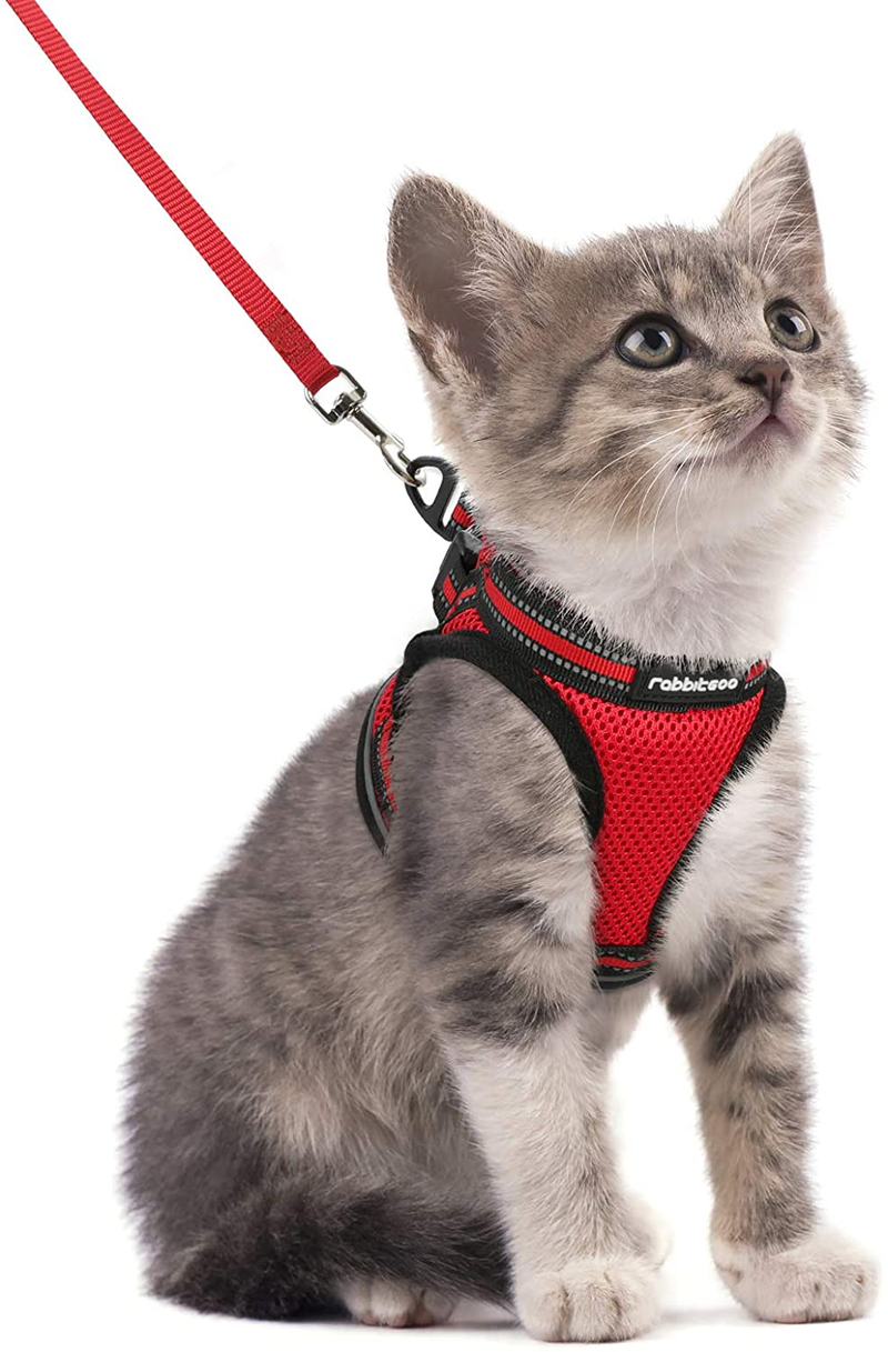rabbitgoo Cat Harness and Leash Set for Walking Escape Proof, Adjustable Soft Kittens Vest with Reflective Strip for Cats, Comfortable Outdoor Vest, Black, S (Chest:9.0"-12.0") Animals & Pet Supplies > Pet Supplies > Cat Supplies > Cat Apparel rabbitgoo Red Small 