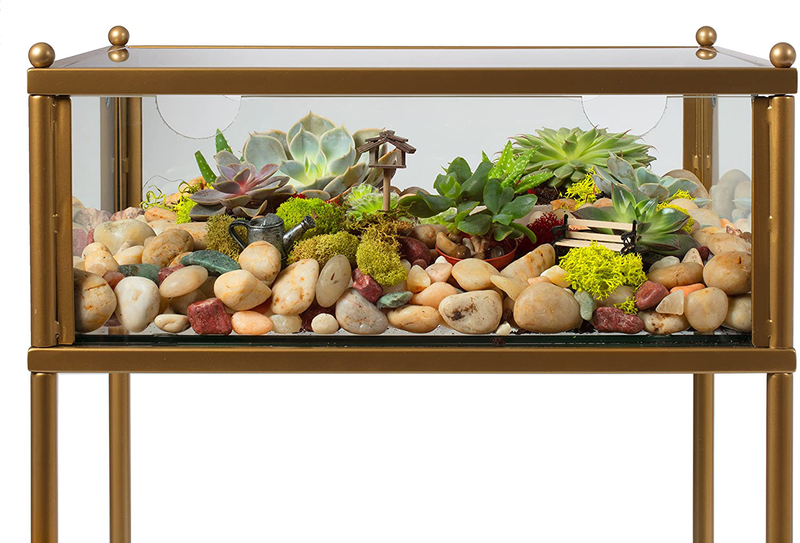 Square Terrarium Display End Table with Reinforced Glass in Gold Iron- 18" L x 18" W x 27" H- Great Indoor Decor for Home or Office- DIY Garden for Fern Moss Succulents- Holiday Wedding Gift Animals & Pet Supplies > Pet Supplies > Reptile & Amphibian Supplies > Reptile & Amphibian Habitats D'Eco   