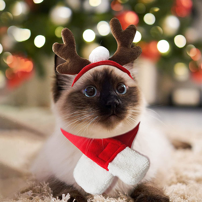 PETLESO Cat Santa Hat with Scarf -Christmas Costume Set Puppy Dog Cat Santa Hat Animals & Pet Supplies > Pet Supplies > Dog Supplies > Dog Apparel PETLESO Christmas antlers  