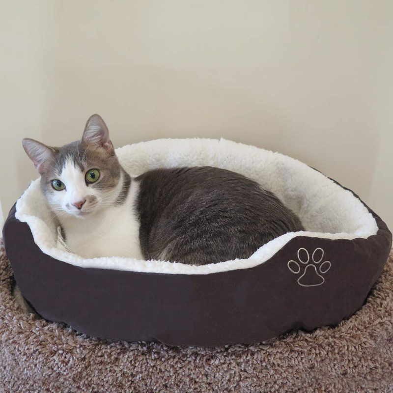 Evelots Pet Bed-Cat/Small Dog-Most Comfy-Warm-Thick/Soft-Easy Washing-2 Colors