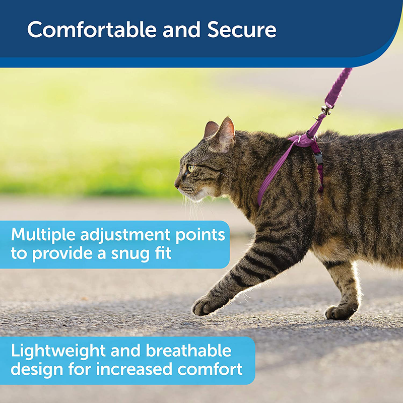 PetSafe Come With Me Kitty Harness and Bungee Leash, Harness for Cats Animals & Pet Supplies > Pet Supplies > Cat Supplies > Cat Apparel PetSafe   