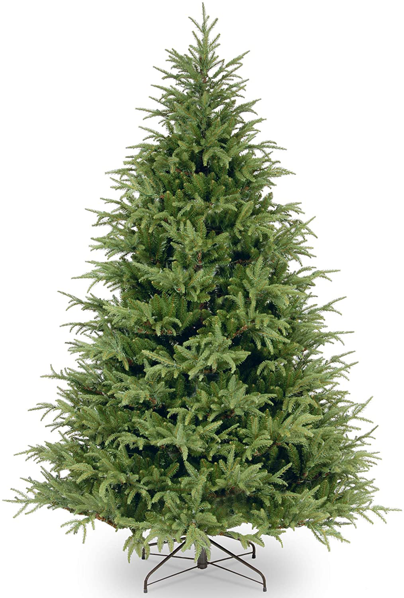 National Tree Company 'Feel Real' Artificial Christmas Tree | Includes Stand | Frasier Grande Fir - 7.5 ft Home & Garden > Decor > Seasonal & Holiday Decorations > Christmas Tree Stands National Tree 7 ft  
