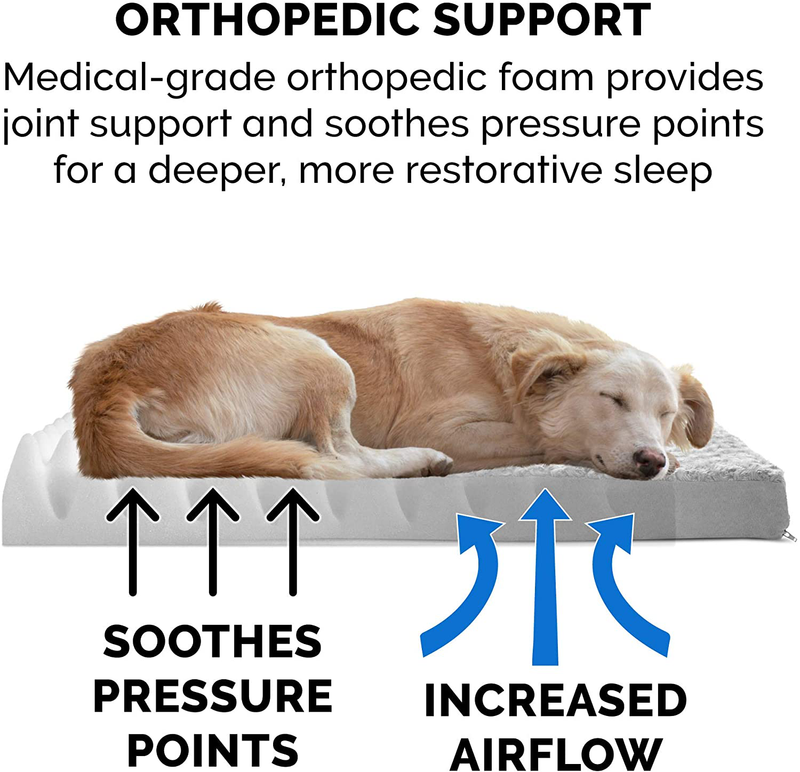 Furhaven Orthopedic, Cooling Gel, and Memory Foam Pet Beds for Small, Medium, and Large Dogs and Cats - Traditional Dog Bed Mattress and More Animals & Pet Supplies > Pet Supplies > Dog Supplies > Dog Beds Furhaven   