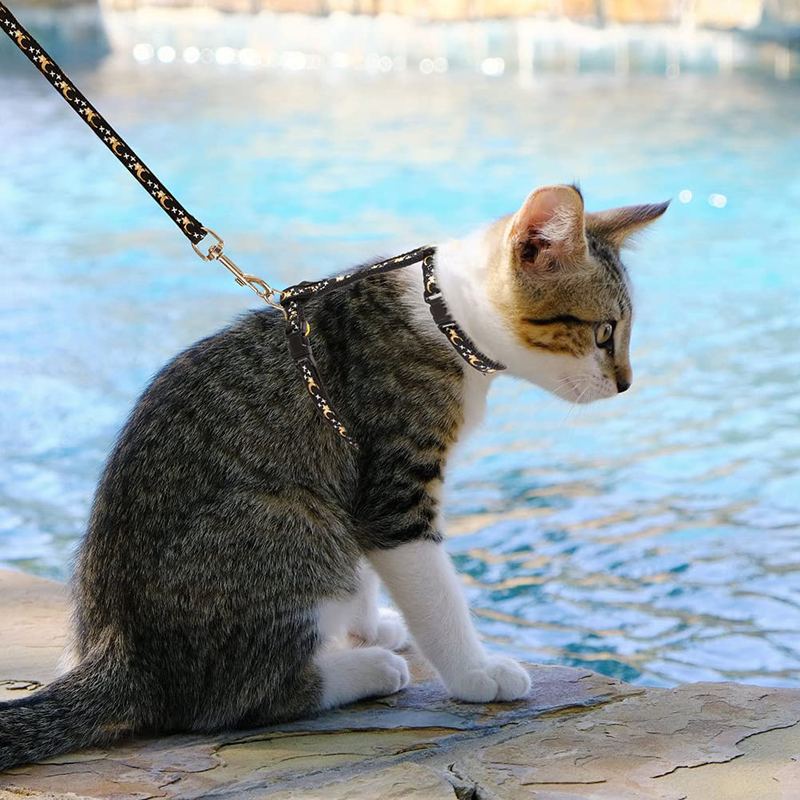 SCIROKKO Adjustable Cat Harness and Leash Set Escape Proof - Vest Harness for Kitties Walking Outdoor