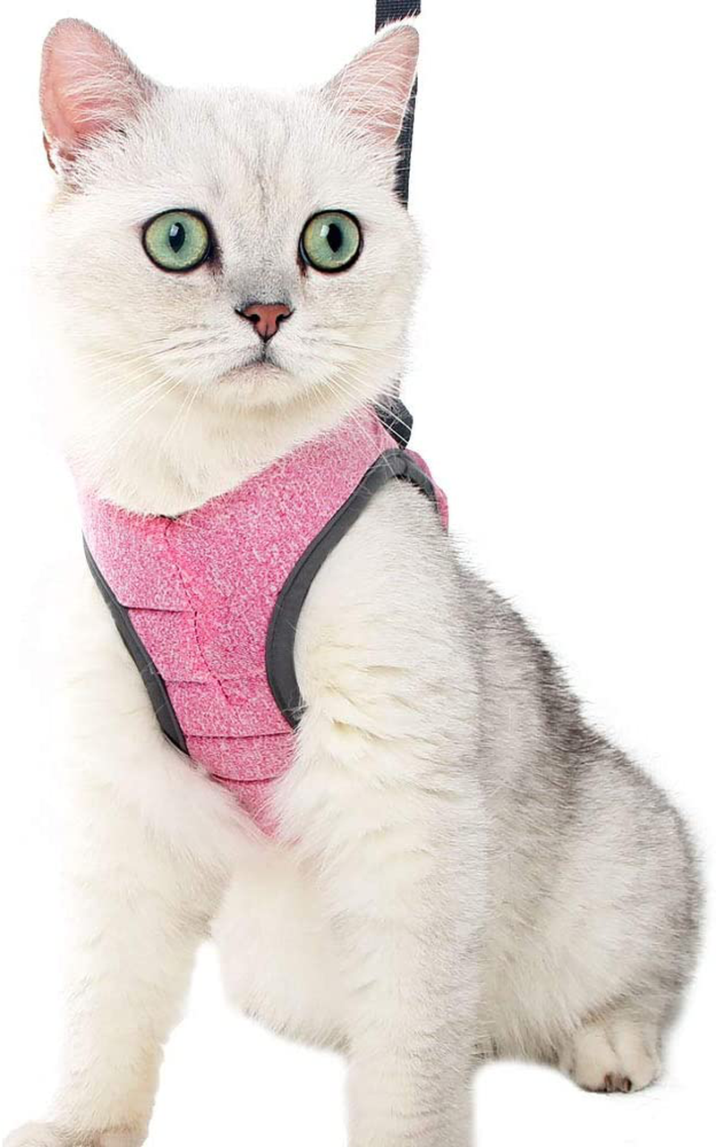 Heywean Cat Harness and Leash - Ultra Light Escape Proof Kitten Collar Cat Walking Jacket with Running Cushioning Soft and Comfortable Suitable for Puppies Rabbits Animals & Pet Supplies > Pet Supplies > Cat Supplies > Cat Apparel HEYWEAN CutePink Large (Pack of 1) 