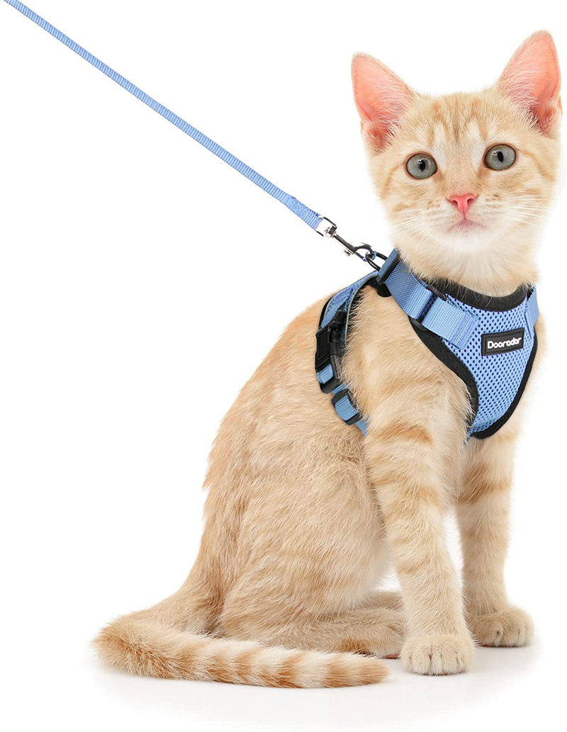 Dooradar Cat Leash and Harness Set, Escape Proof Safe Breathable Cat Vest Harness for Walking , Easy Control Soft Adjustable Reflective Strips Mesh Jacket for Cats, Pink, XS (Chest: 13.5” -16.0”) Animals & Pet Supplies > Pet Supplies > Cat Supplies > Cat Apparel Dooradar Light Blue X-Small (Pack of 1) 