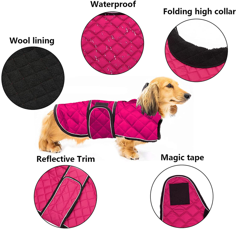 Geyecete Warm Thermal Quilted Dachshund Coat, Dog Winter Coat with Warm Fleece Lining, Outdoor Dog Apparel with Adjustable Bands for Medium, Large Dog