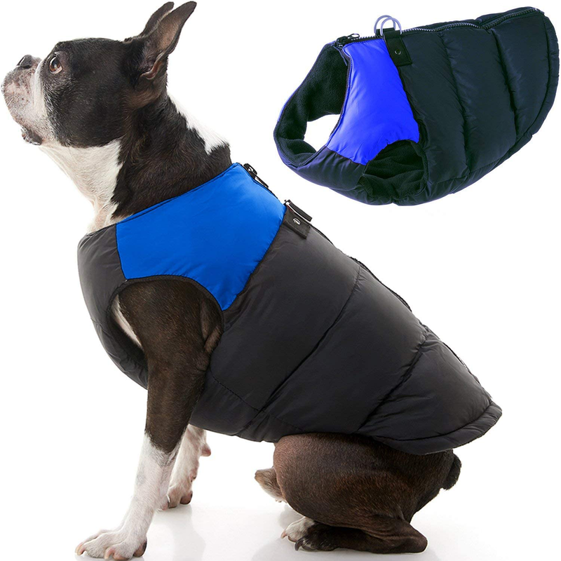 Gooby Padded Vest Dog Jacket - Warm Zip up Dog Vest Fleece Jacket with Dual D Ring Leash - Winter Water Resistant Small Dog Sweater - Dog Clothes for Small Dogs Boy and Medium Dogs for Everyday Use Animals & Pet Supplies > Pet Supplies > Dog Supplies > Dog Apparel Gooby Blue 1 Small (Pack of 1)