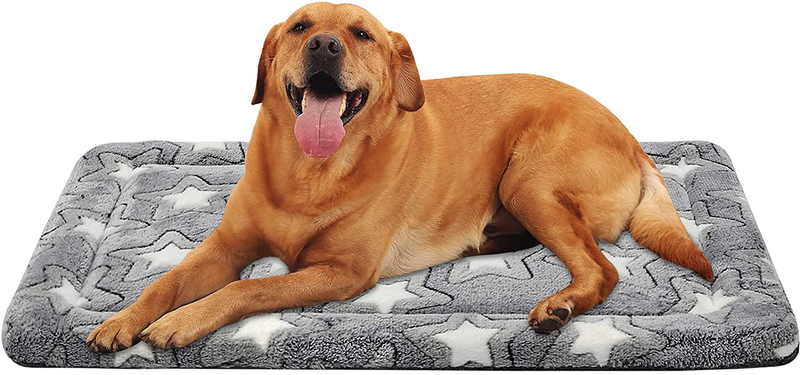 EMPSIGN Fancy Dog Bed Mat, Pet Bed Pad Reversible (Warm & Cool), Machine Washable Crate Pad, Pet Sleeping Mat for Small to Xxx-Large Dogs, Grey, Star Pattern Animals & Pet Supplies > Pet Supplies > Dog Supplies > Dog Beds EMPSIGN XL (42"x28"x 1.1")  