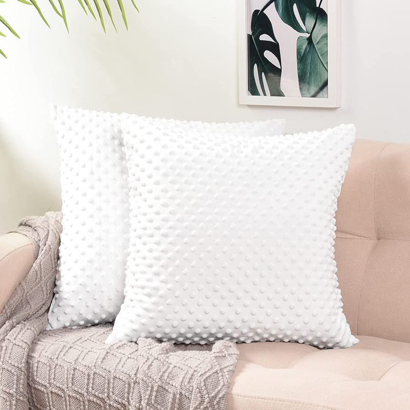 PHF Minky Dot Throw Pillow Cover 18"X 18", 2 Pack Soft Cozy Velvet Square Pillowcase, Holiday Home Decorative Pillow Cushion Cover for Couch Sofa Bed, White Home & Garden > Decor > Chair & Sofa Cushions PHF White 20" x 20" 