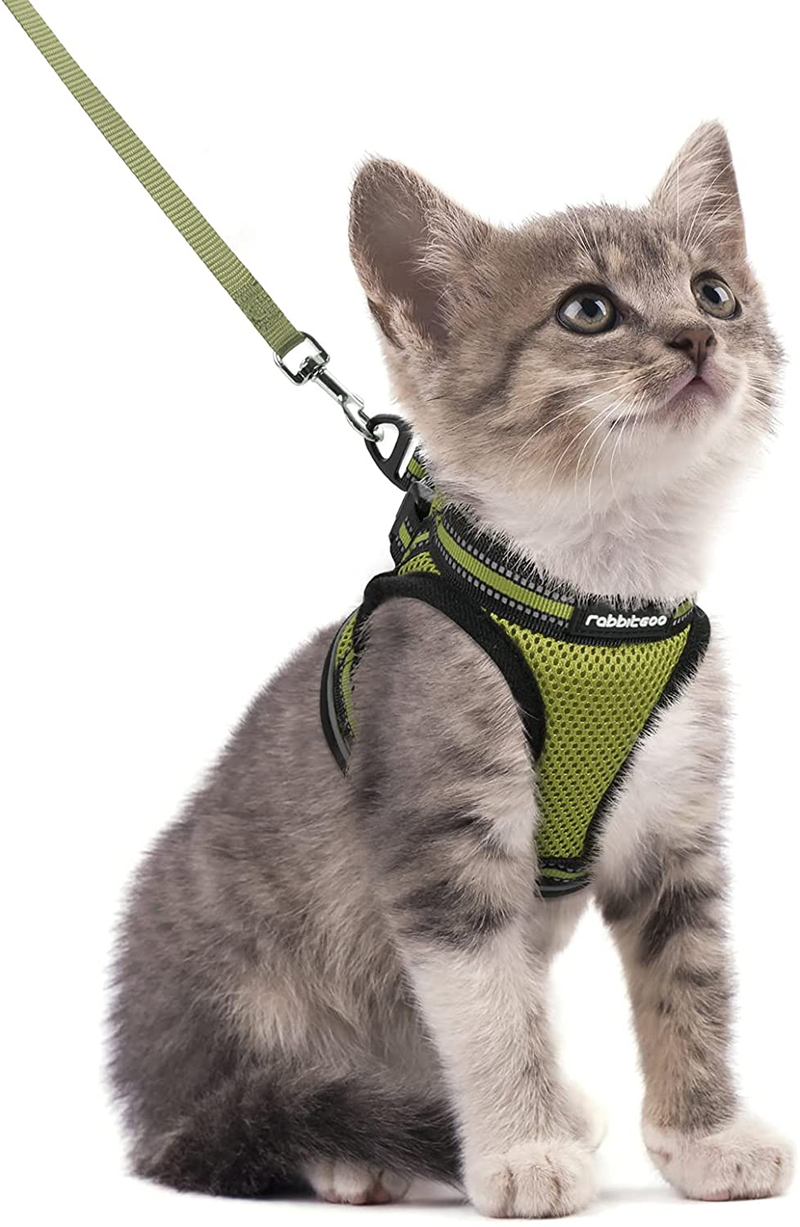 rabbitgoo Cat Harness and Leash Set for Walking Escape Proof, Adjustable Soft Kittens Vest with Reflective Strip for Cats, Comfortable Outdoor Vest, Black, S (Chest:9.0"-12.0") Animals & Pet Supplies > Pet Supplies > Cat Supplies > Cat Apparel rabbitgoo Green Small 