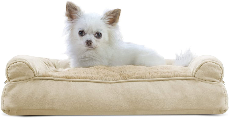 Furhaven Orthopedic Dog Beds for Small, Medium, and Large Dogs, CertiPUR-US Certified Foam Dog Bed Animals & Pet Supplies > Pet Supplies > Dog Supplies > Dog Beds Furhaven Plush & Suede Clay Pillow (Fiberfill) Small (Pack of 1)