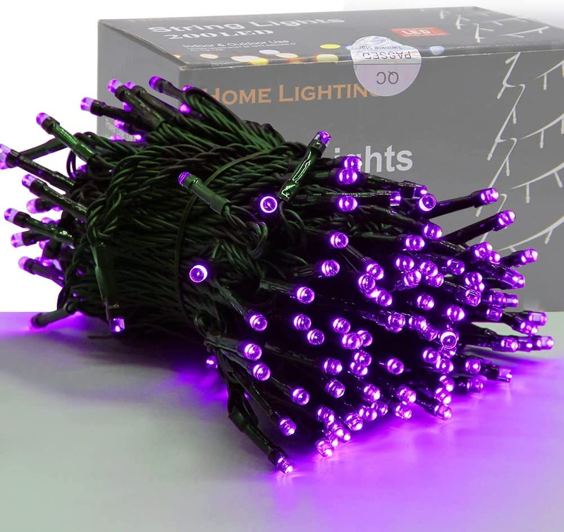 HOME LIGHTING 200 LED 66FT Christmas String Lights, St Patricks Day Fairy Lights with 8 Lighting Modes, String Mini Lights Plug in for Indoor Outdoor Tree Garden Wedding Party Decoration, Green Home & Garden > Lighting > Light Ropes & Strings HOME LIGHTING Purple  