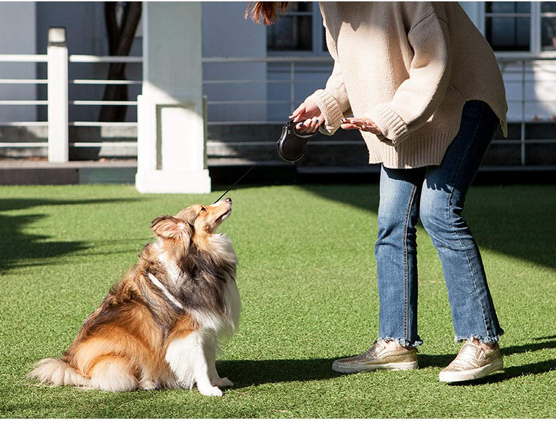 Fida Retractable Dog Leash, 16 ft Dog Walking Leash for Medium Dogs up to 44lbs, Tangle Free, Orange Animals & Pet Supplies > Pet Supplies > Dog Supplies Fida   