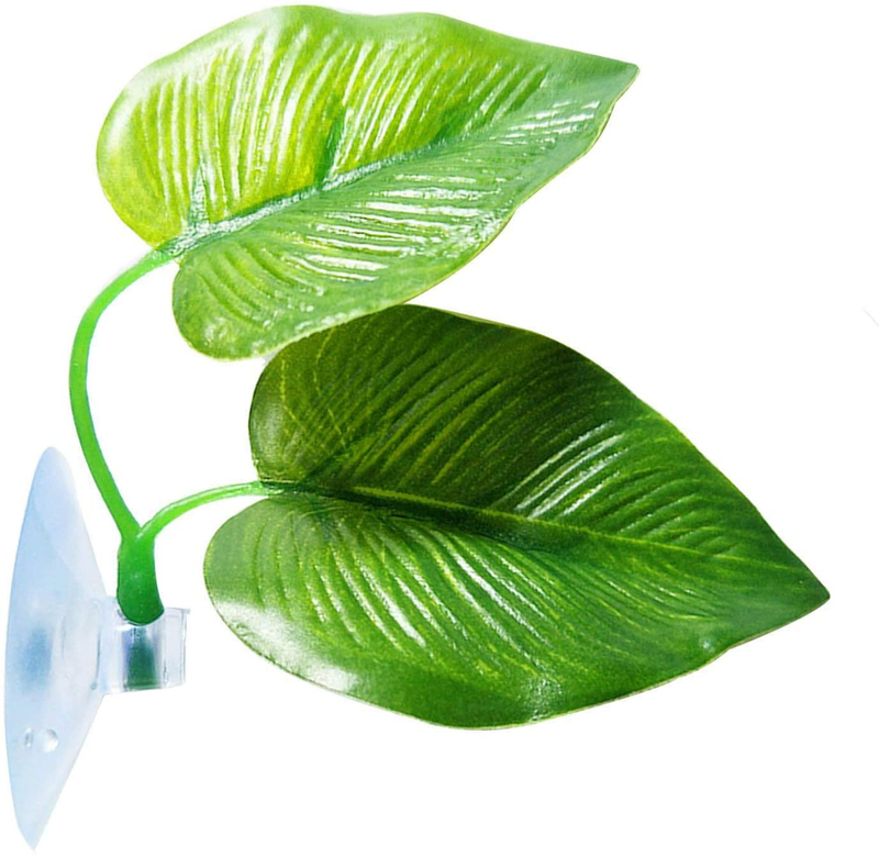 CousDUoBe Betta Fish Leaf Pad - Improves Betta's Health by Simulating The Natural Habitat（ Double Leaf Design, one Big and one Small ） Animals & Pet Supplies > Pet Supplies > Fish Supplies > Aquarium Decor CousDUoBe   
