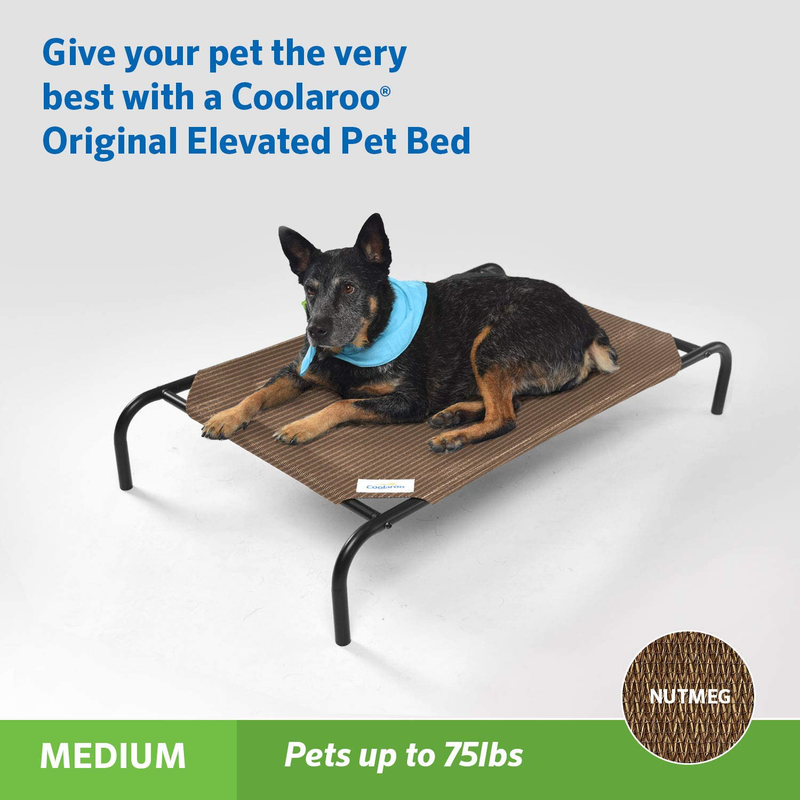 Coolaroo The Original Elevated Pet Bed Animals & Pet Supplies > Pet Supplies > Dog Supplies > Dog Beds Coolaroo   