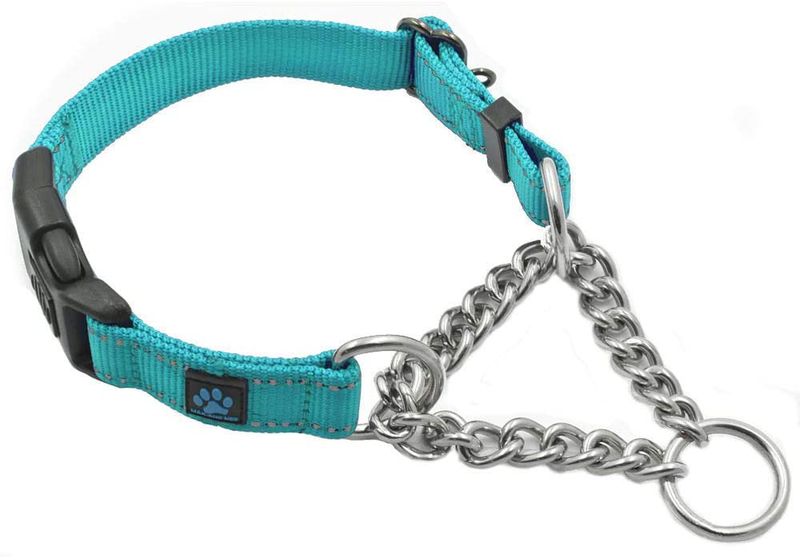 Max and Neo Stainless Steel Chain Martingale Collar - We Donate a Collar to a Dog Rescue for Every Collar Sold Animals & Pet Supplies > Pet Supplies > Dog Supplies Max and Neo TEAL Small (Pack of 1) 