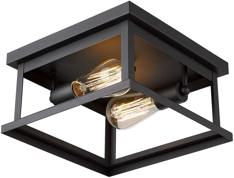 Emliviar Flush Mount Light Fixture, 2-Light 11-Inch Ceiling Light in Black Finish, 1803EW1-F1 BK