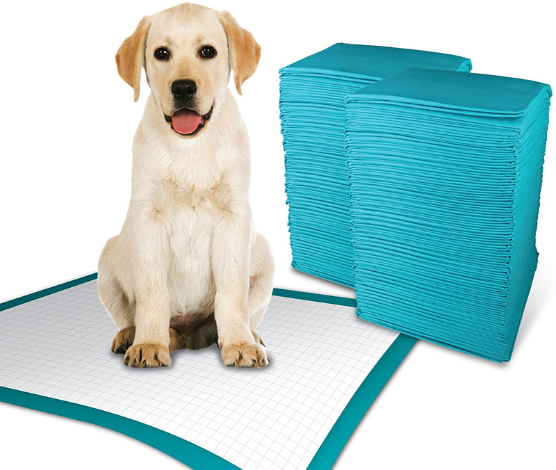 Simple Solution Training Puppy Pads | Extra Large, 6 Layer Dog Pee Pads, Absorbs Up to 7 Cups of Liquid | 28x30 Inches Animals & Pet Supplies > Pet Supplies > Dog Supplies > Dog Diaper Pads & Liners Simple Solution 100 Count (Pack of 1)  