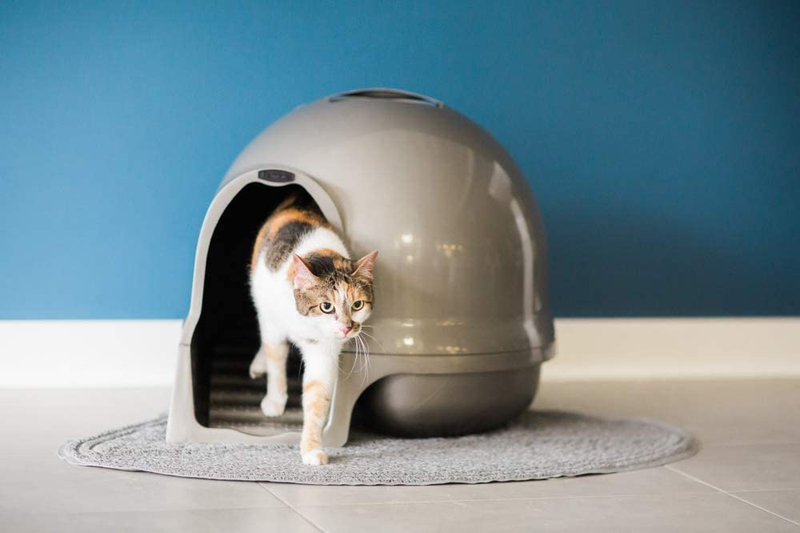 Petmate Booda Dome Clean Step Cat Litter Box 3 Colors  Booda   