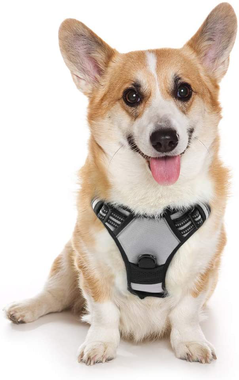 rabbitgoo Dog Harness, No-Pull Pet Harness with 2 Leash Clips, Adjustable Soft Padded Dog Vest, Reflective No-Choke Pet Oxford Vest with Easy Control Handle for Large Dogs, Black, XL  rabbitgoo Light Gray Medium 