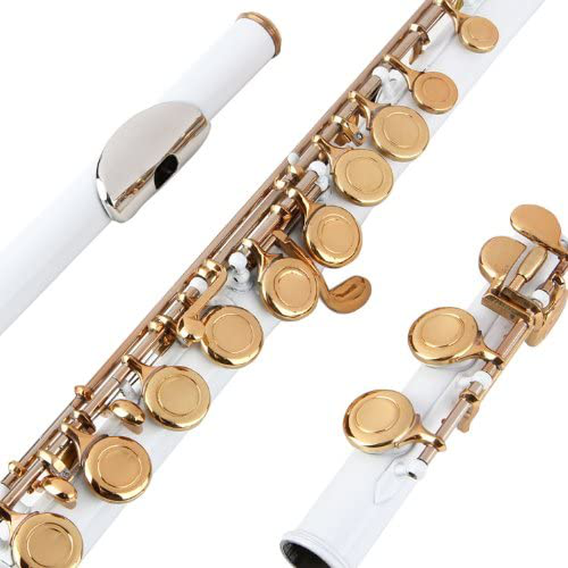 Glory Closed Hole C Flute With Case, Tuning Rod and Cloth,Joint Grease and Gloves Nickel Siver-More Colors available,Click to see more colors  GLORY White/Laquer  
