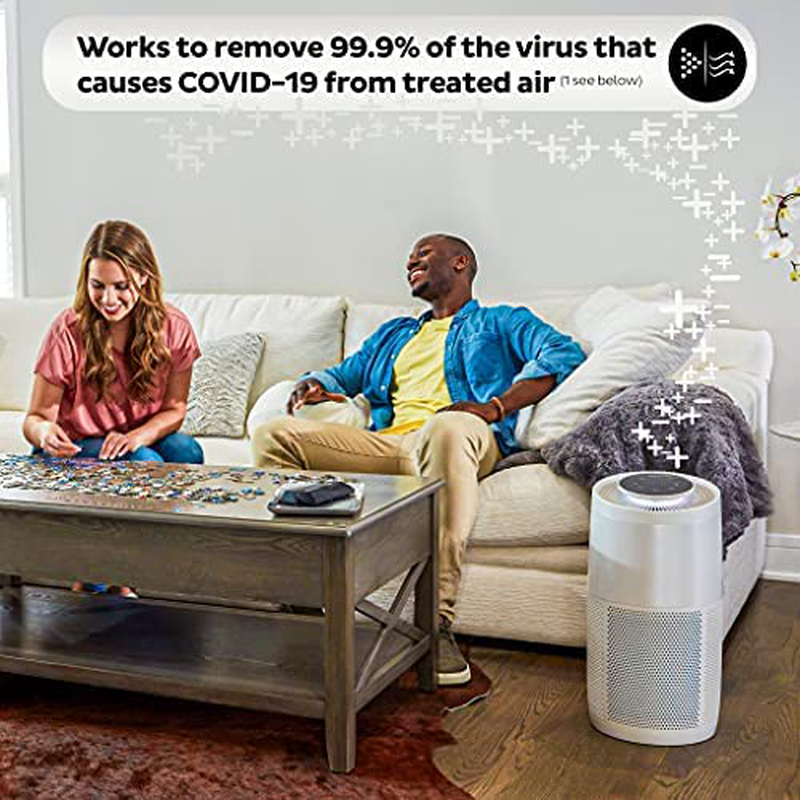 Instant Air Purifier, Helps Remove 99.9% of V (C) S; Advanced 3-In-1 HEPA-13 Filtration with Plasma Ion Technology, Large Room (AP300), Pearl Animals & Pet Supplies > Pet Supplies > Cat Supplies > Cat Beds Instant   