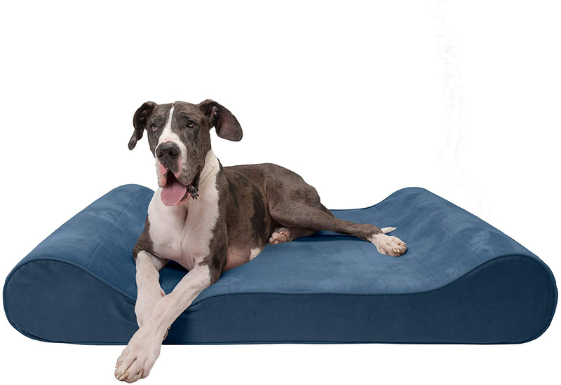 Furhaven Orthopedic, Cooling Gel, and Memory Foam Pet Beds for Small, Medium, and Large Dogs - Ergonomic Contour Luxe Lounger Dog Bed Mattress and More Animals & Pet Supplies > Pet Supplies > Dog Supplies > Dog Beds Furhaven Pet Products, Inc Microvelvet Stellar Blue Contour Bed (Orthopedic Foam) Giant (Pack of 1)