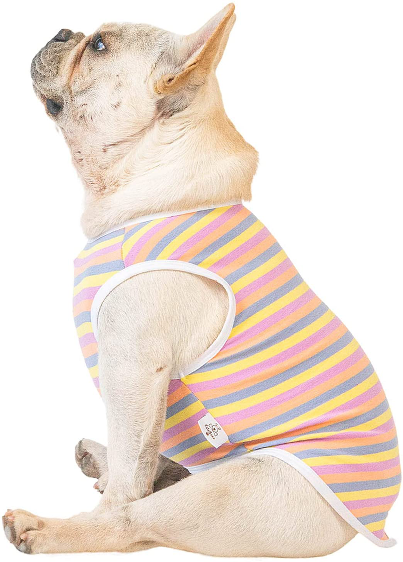 Cutebone Dog Shirts Striped 2-Pack Soft Cotton Pet Clothes Breathable Summer Vest for Small Puppy and Cat Apparel Stretchy, Yellow&Purple Animals & Pet Supplies > Pet Supplies > Cat Supplies > Cat Apparel CuteBone   