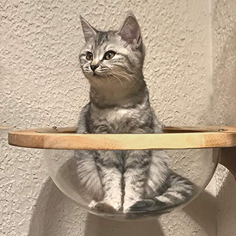 TINTON LIFE Wall-Mounted Wooden Cat Space Clear Capsule Cat Bed Small Pets Bed Cat Toy Cat Furniture(Large Capsule) Animals & Pet Supplies > Pet Supplies > Cat Supplies > Cat Beds TINTON LIFE   