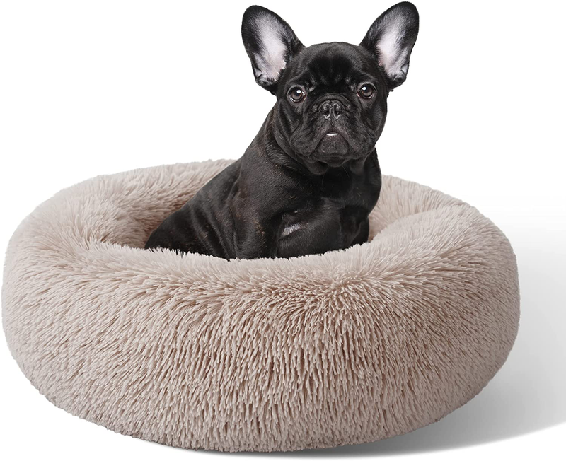 Love'S Cabin Cat Beds for Indoor Cats - Cat Bed with Machine Washable, Waterproof Bottom - Fluffy Dog and Cat Calming Cushion Bed for Joint-Relief and Sleep Improvement Animals & Pet Supplies > Pet Supplies > Dog Supplies > Dog Beds Love's cabin Beige Taupe 24" 