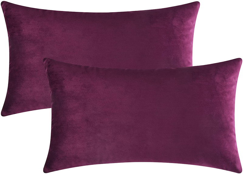 Mixhug Decorative Throw Pillow Covers, Velvet Cushion Covers, Solid Throw Pillow Cases for Couch and Bed Pillows, Burnt Orange, 20 x 20 Inches, Set of 2 Home & Garden > Decor > Chair & Sofa Cushions Mixhug Plum 12 x 20 Inches, 2 Pieces 