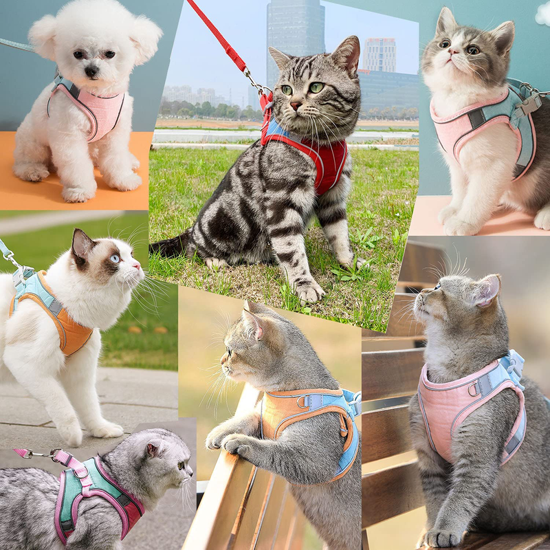 JSXD Cat Harness,Leash and Collar Set,Escape Proof Kitten Vest Harness for Walking,Easy Control Night Safe Pet Harness with Reflective Strap and Bell for Small Large Kitten,Fit for Puppy,Rabbit Animals & Pet Supplies > Pet Supplies > Cat Supplies > Cat Apparel JSXD   
