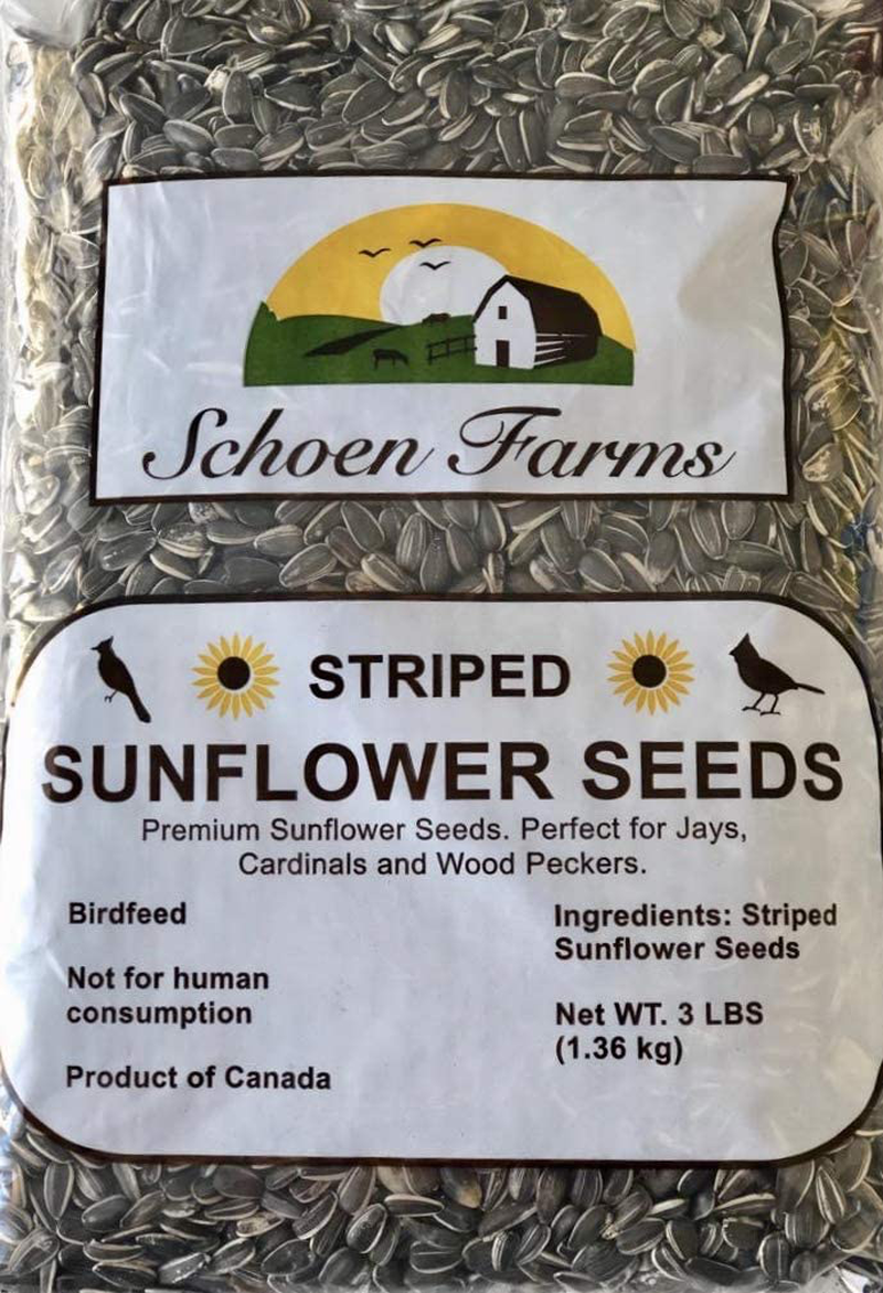 Schoen Farms Striped Sunflower Seeds, Animals & Pet Supplies > Pet Supplies > Bird Supplies > Bird Food Schoen Farms 3 Pound (Pack of 1)  