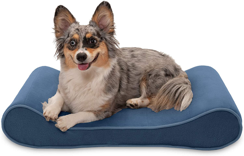 Furhaven Orthopedic, Cooling Gel, and Memory Foam Pet Beds for Small, Medium, and Large Dogs - Ergonomic Contour Luxe Lounger Dog Bed Mattress and More Animals & Pet Supplies > Pet Supplies > Dog Supplies > Dog Beds Furhaven Pet Products, Inc Microvelvet Stellar Blue Contour Bed (Cooling Gel Foam) Medium (Pack of 1)