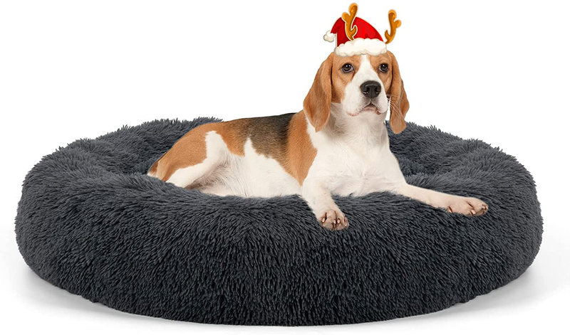 Dog Bed, Calming Cat Bed, Upgraded Thick Pet Donut Cuddler, Detachable Washable Cozy Bed with Anti-Slip & Water-Resistant Bottom, Pet Cushion Bed for Small Medium Large X-Large Dog or Cat Animals & Pet Supplies > Pet Supplies > Dog Supplies > Dog Beds Arien Dark Grey Medium(30"*30") 