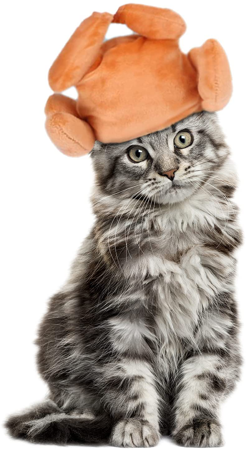 Thanksgiving Pet Cat Turkey Hat Christmas Hat Headgeart Hat Pet Headband Cat Halloween Funny Hat for Small Dogs Cats Puppy Home & Garden > Decor > Seasonal & Holiday Decorations& Garden > Decor > Seasonal & Holiday Decorations ALHONLY   