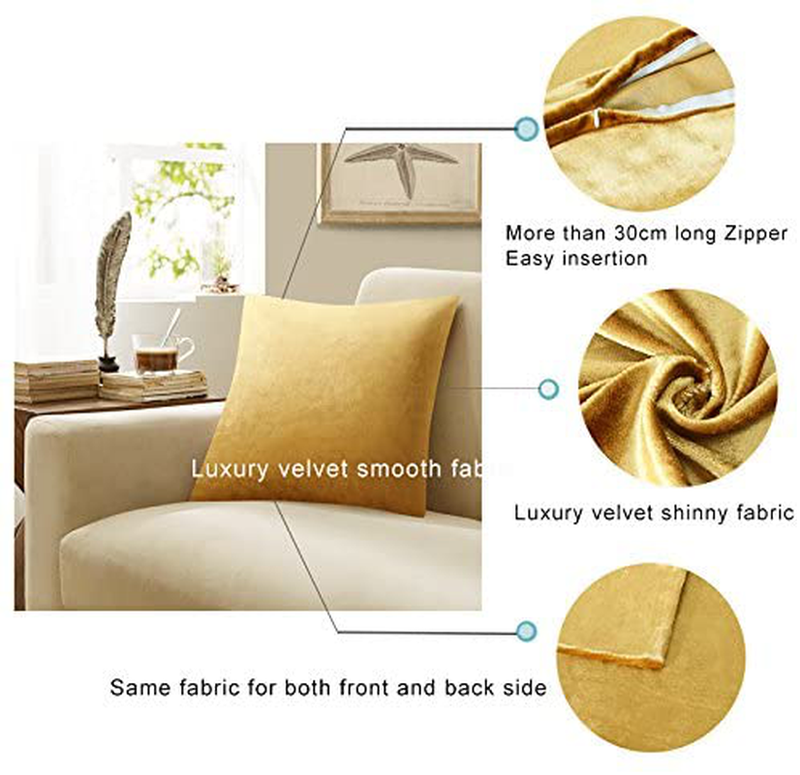 GIGIZAZA Decorative Throw Pillow Covers 20 X 20, Gold Sofa Pillow Covers Velvet, Set of 4 Decor Square Cushion Covers Home & Garden > Decor > Chair & Sofa Cushions GIGIZAZA   