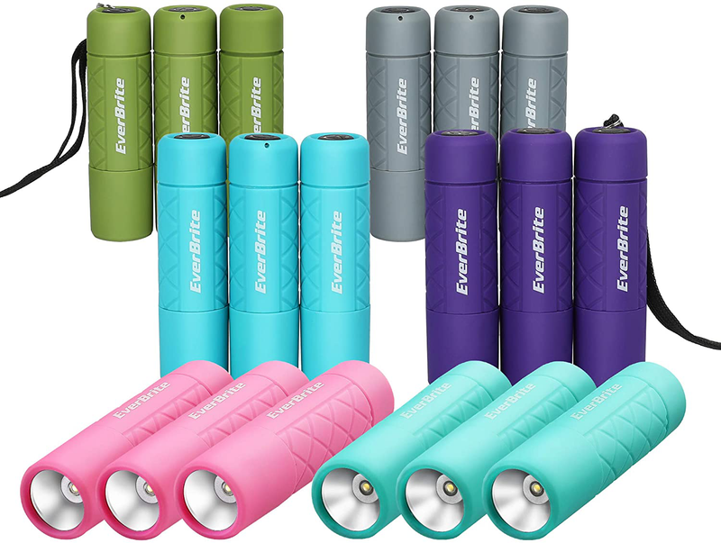 Everbrite 18-pack Mini LED Flashlight Set, Handheld Torches for kids, Suitable for Hurricane, Camping, Night Reading, Party, Backpacking, Outages, Lanyard & 54 AAA Batteries Included
